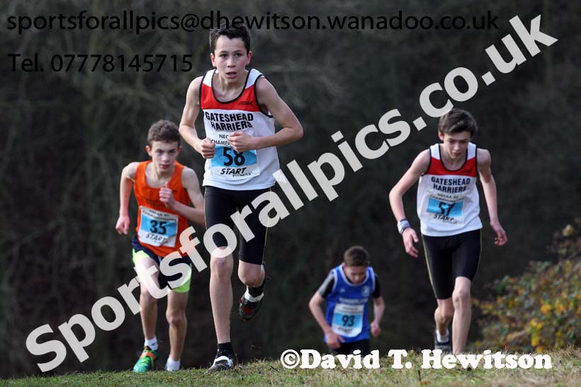Boys under-13s North Eastern Cross Country, Aykley Heads, Durham. Photo: David T. Hewitson/Sports for All Pics